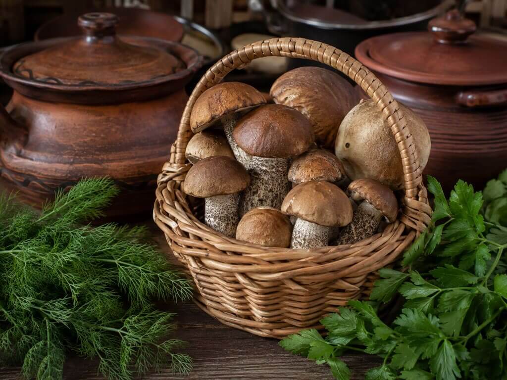 подосиновики